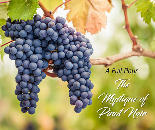 A Full Pour: The Mystique of Pinot Noir